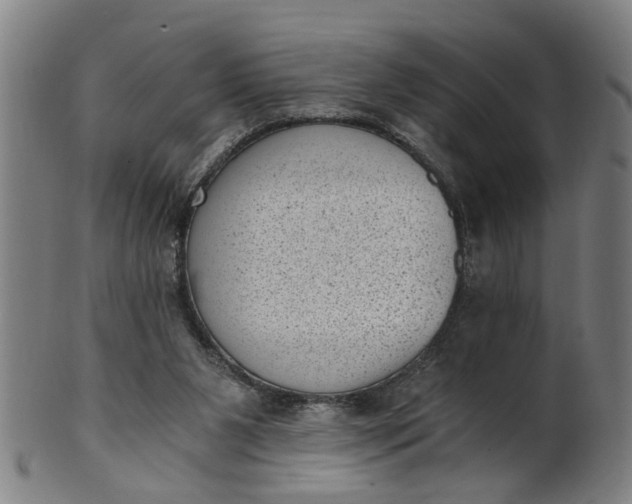 X0000101650111200807241404