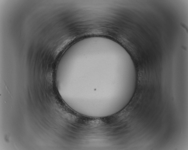 X0000101650112200807241404