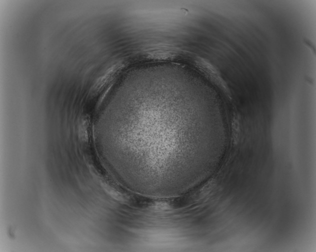 X0000101650114200807241404