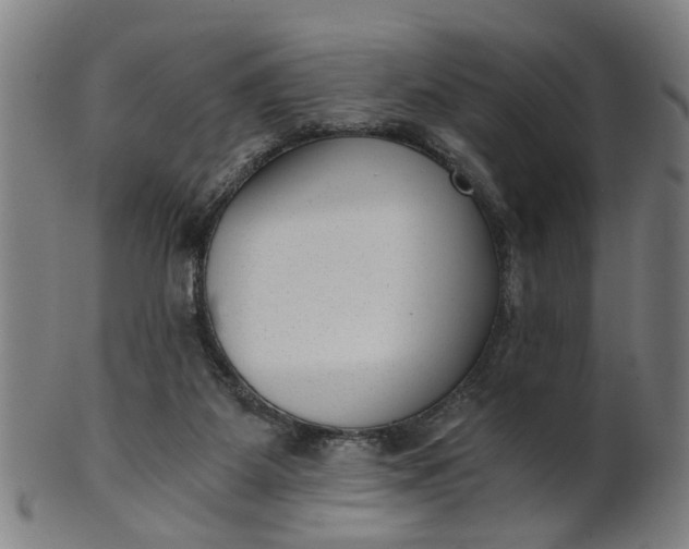 X0000101650115200807241404