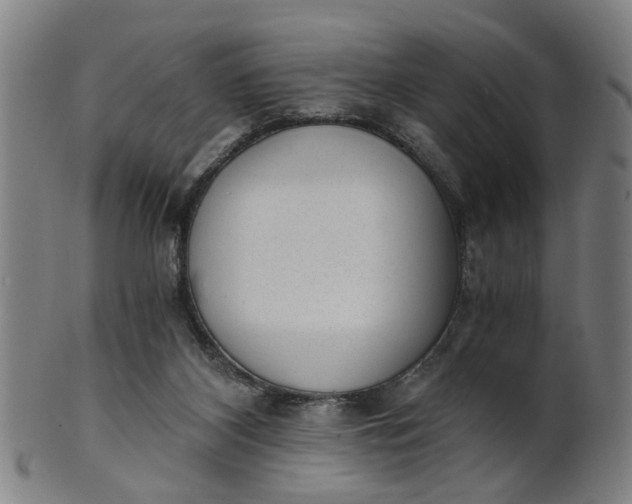 X0000101650116200807241404