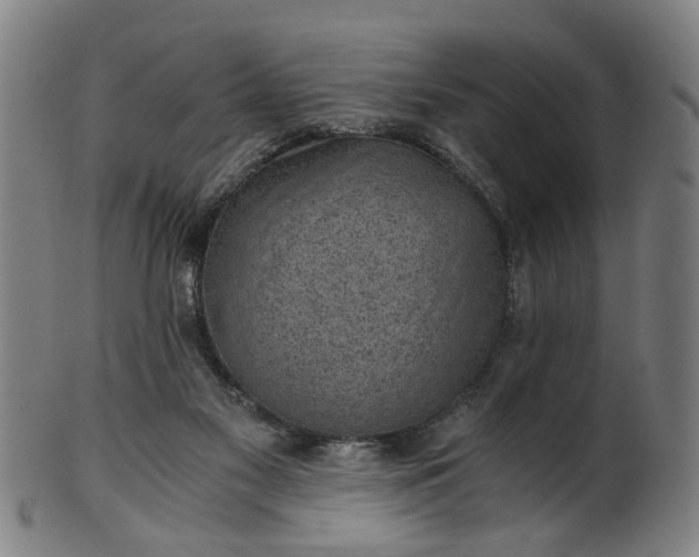 X0000101650117200807241404