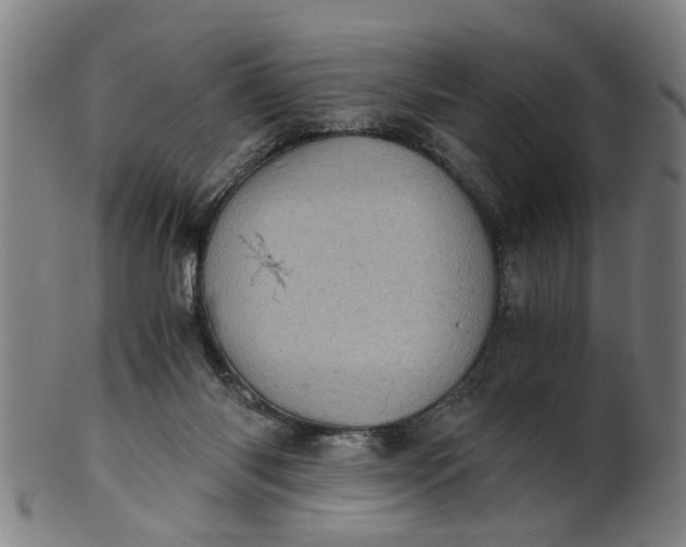 X0000101650118200807241404