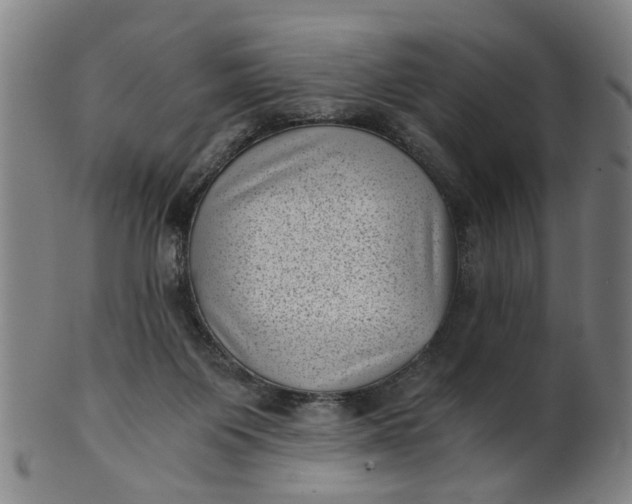 X0000101650119200807241404