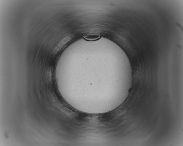 X0000101650120200807241404