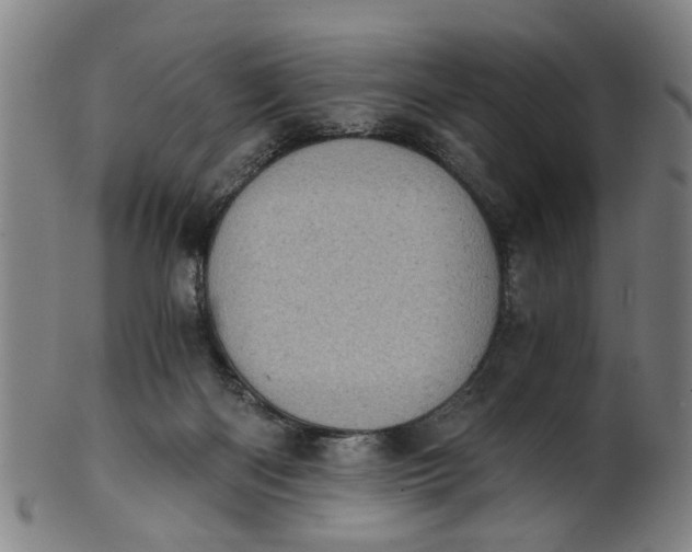 X0000101650122200807241404