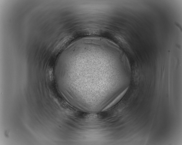 X0000101650123200807241404