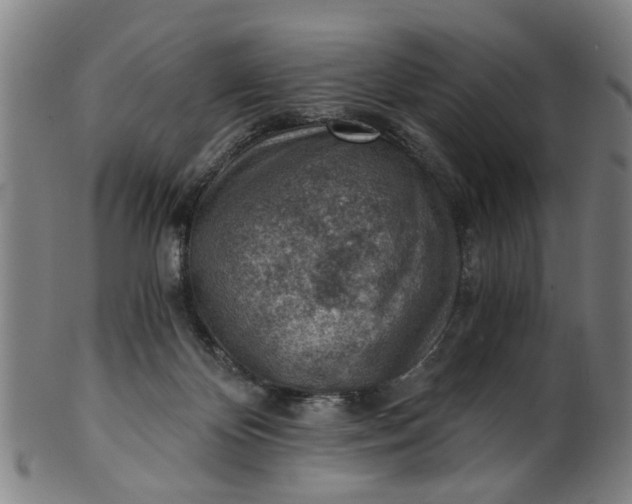 X0000101650124200807241404