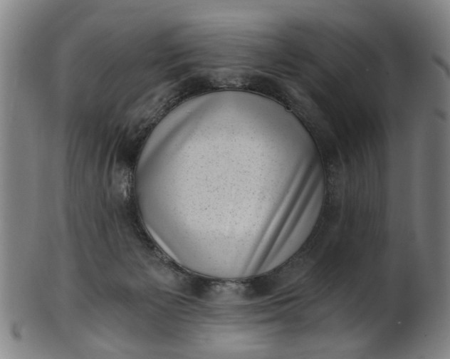 X0000101650125200807241404