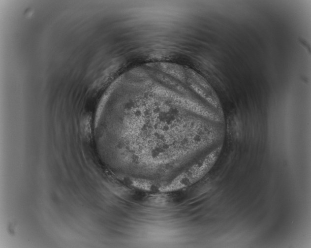 X0000101650127200807241404