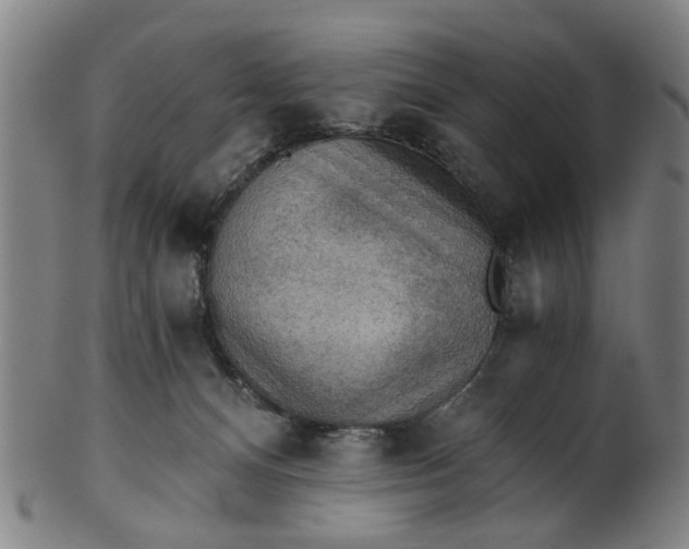 X0000101650128200807241404