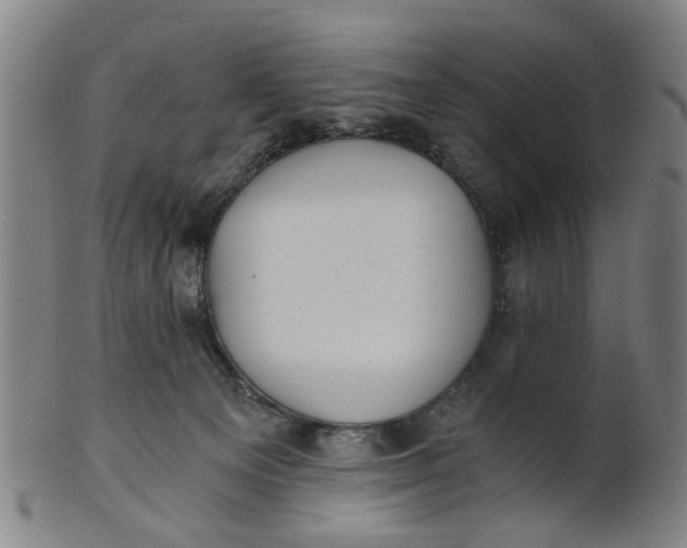 X0000101650129200807241404