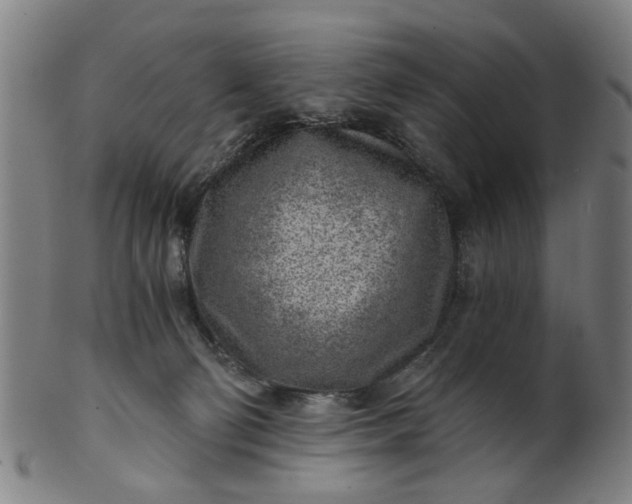 X0000101650130200807241404