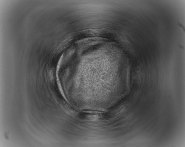 X0000101650131200807241404