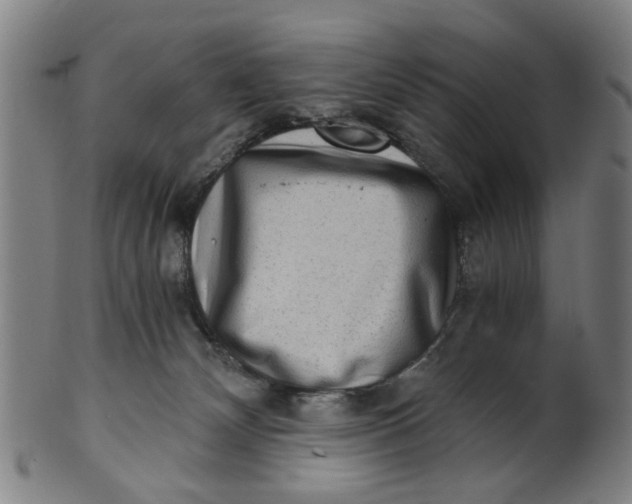X0000101650132200807241404