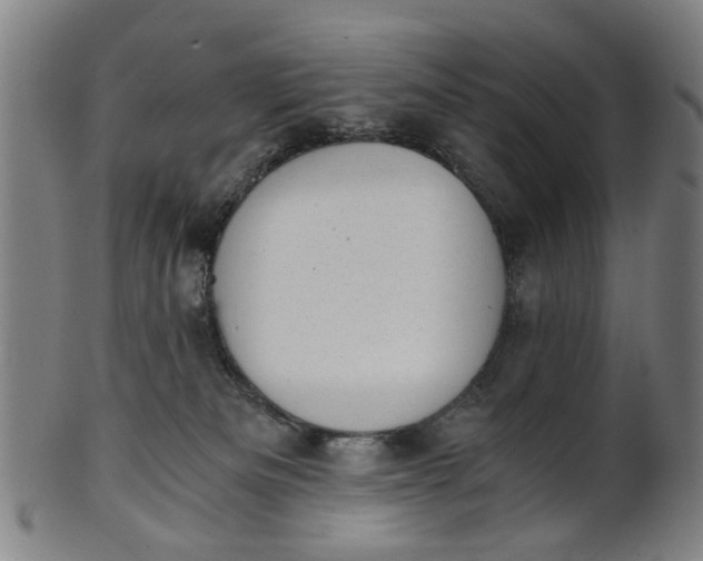 X0000101650133200807241404