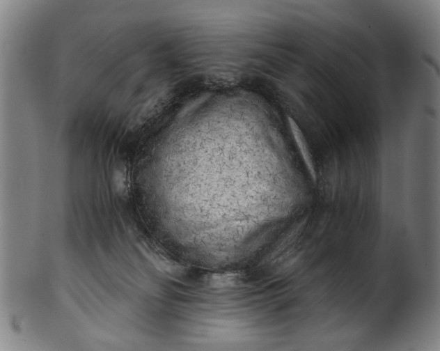 X0000101650134200807241404
