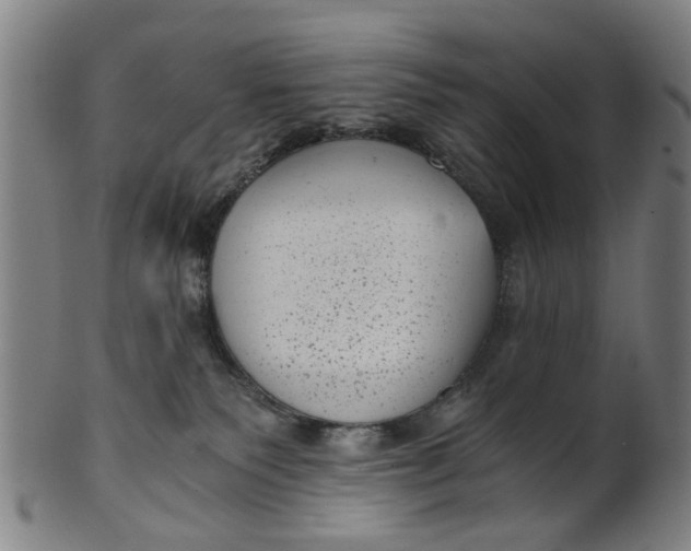 X0000101650135200807241404
