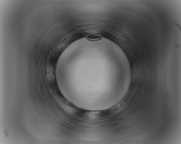 X0000101650136200807241404