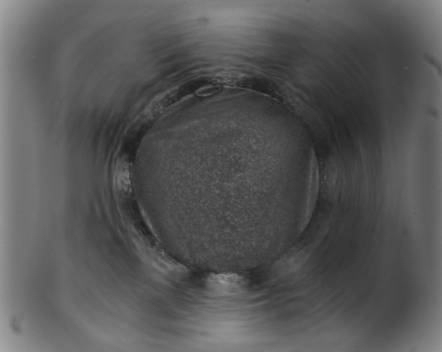 X0000101650137200807241404