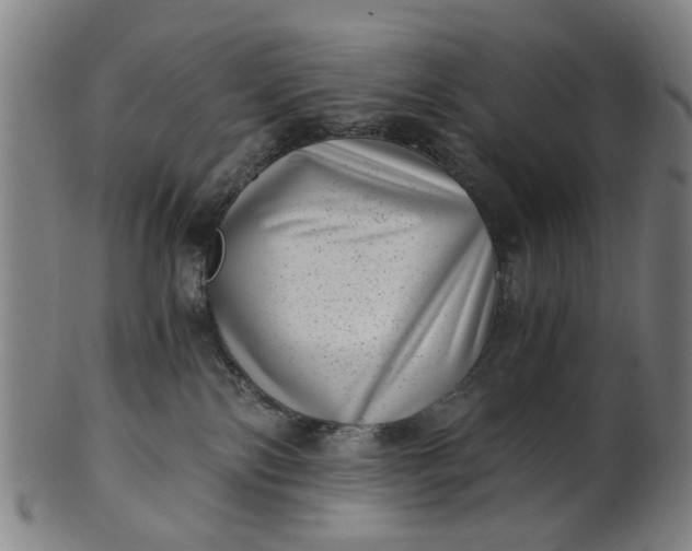X0000101650138200807241404