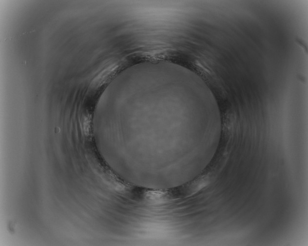 X0000101650139200807241403