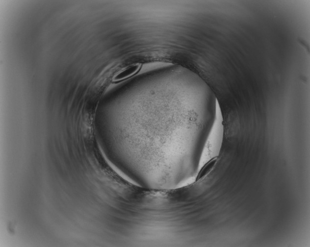X0000101650140200807241403