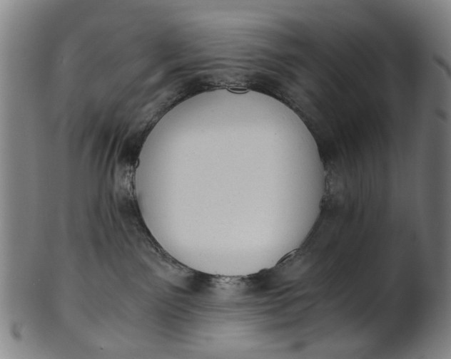 X0000101650141200807241403