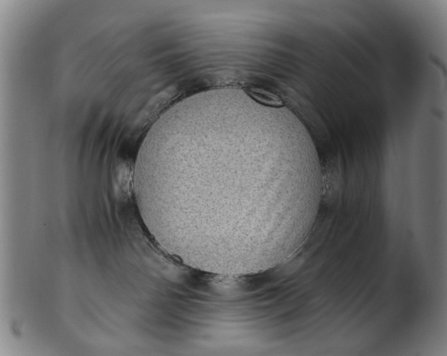 X0000101650142200807241403