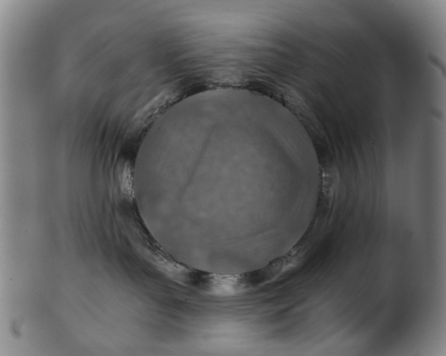 X0000101650143200807241403