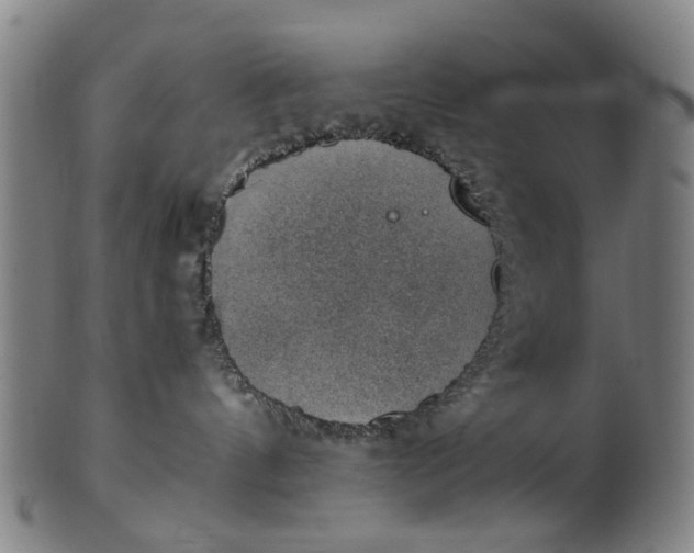 X0000101650144200807241403