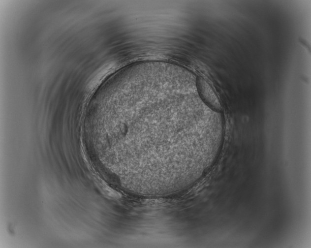 X0000101650145200807241403