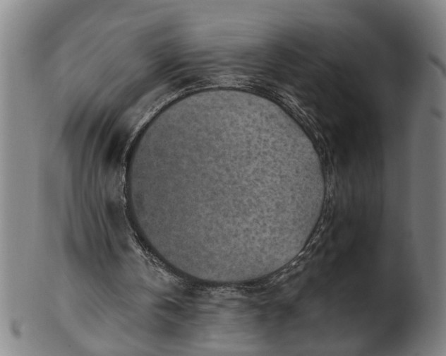 X0000101650146200807241403