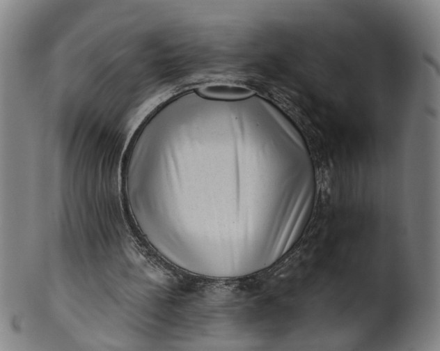 X0000101650148200807241403