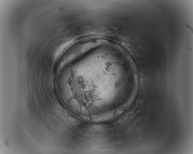 X0000101650149200807241403