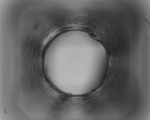 X0000101650150200807241403