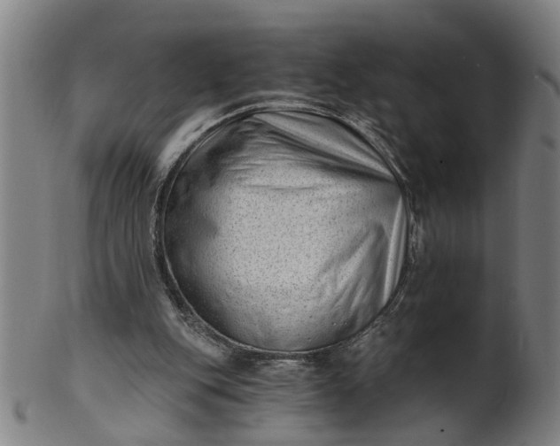 X0000101650151200807241403