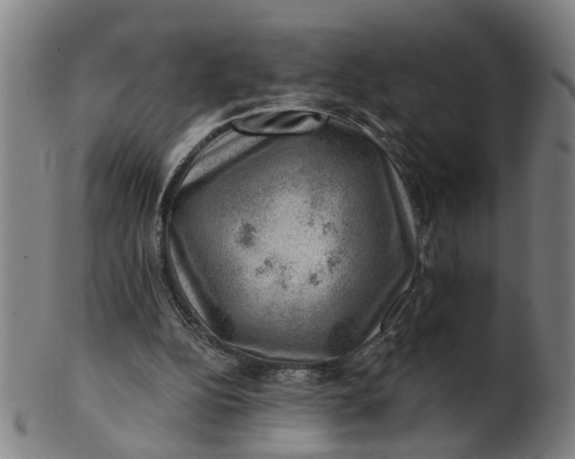 X0000101650152200807241403