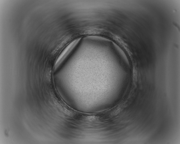 X0000101650153200807241403