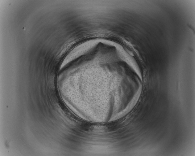 X0000101650154200807241403