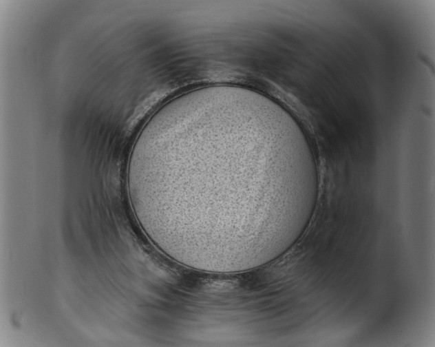 X0000101650155200807241403