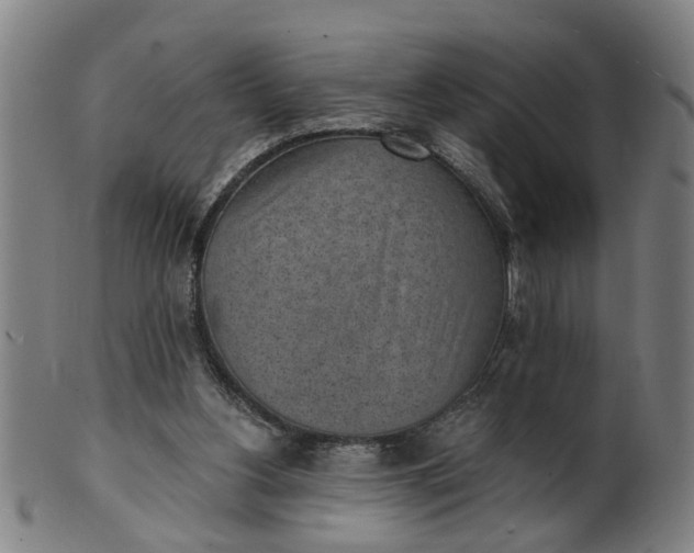 X0000101650156200807241403