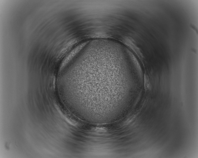 X0000101650157200807241403