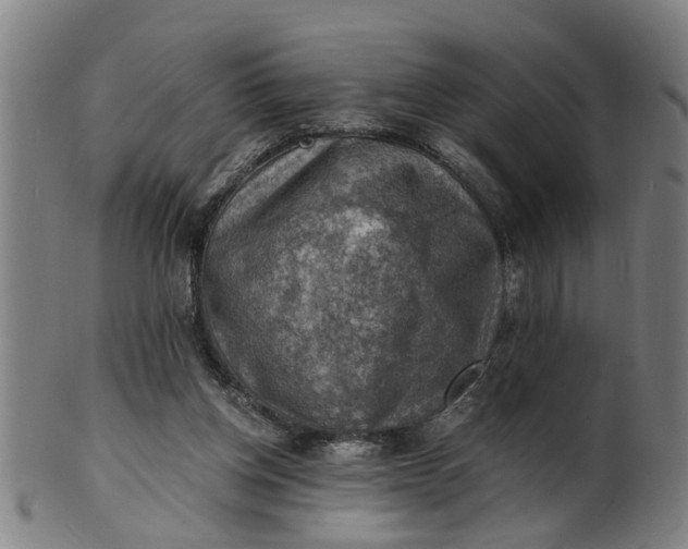 X0000101650158200807241403
