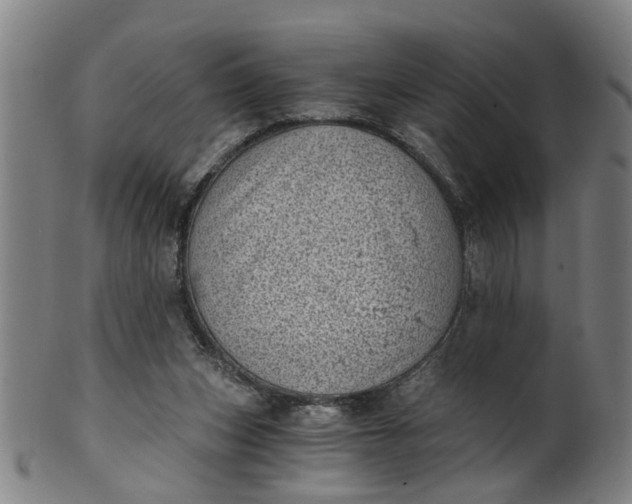 X0000101650159200807241403