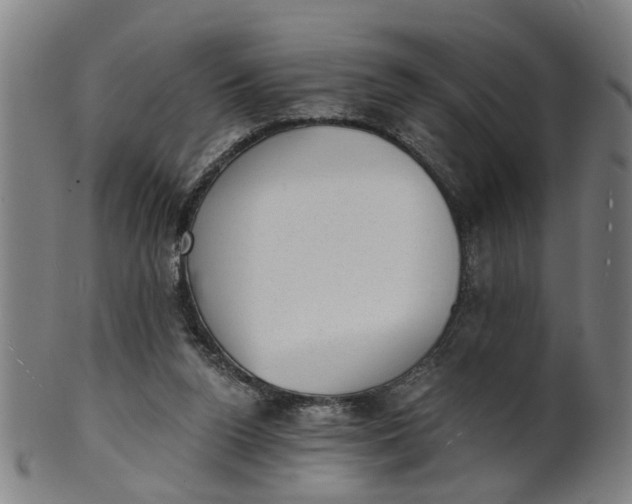X0000101650160200807241403