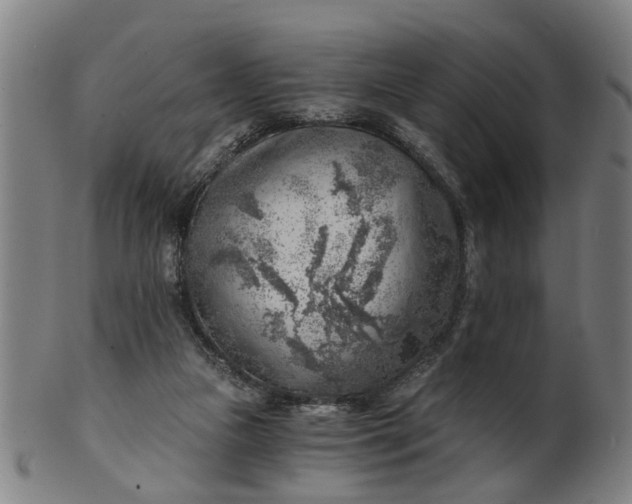 X0000101650161200807241403