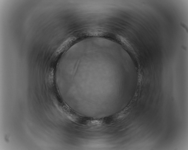 X0000101650163200807241403