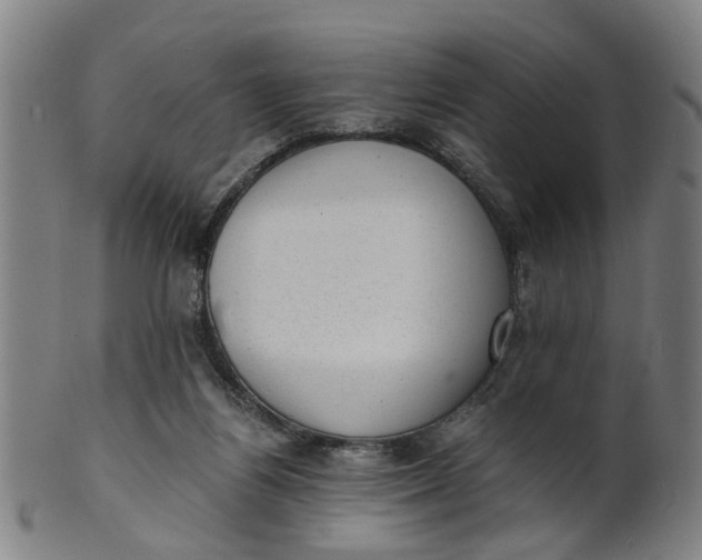 X0000101650164200807241403