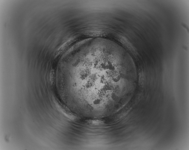 X0000101650165200807241403